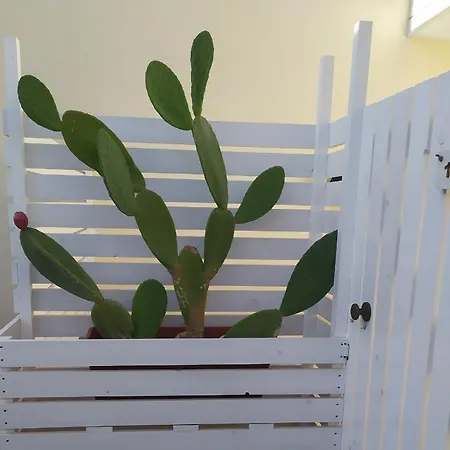 Otrantocasa Appartement Otrante